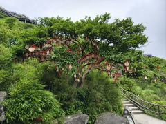 -萍乡武功山风景名胜区