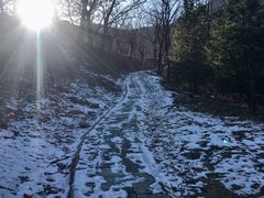 -北京鹫峰国家森林公园