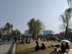 -南宁南湖公园