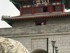 -武清南湖绿博园