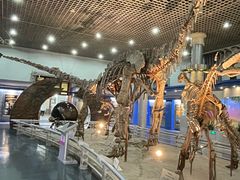 -国家自然博物馆