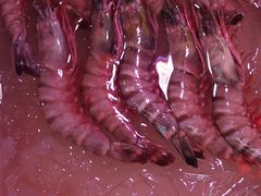 -众彩物流水产市场