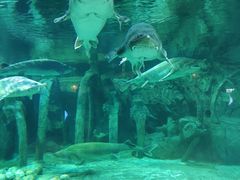 -华夏文旅海洋公园