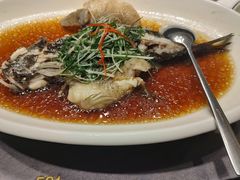 -骏莱海鲜鱼港(五角场店)