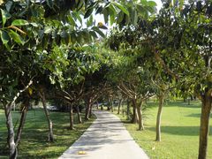 -三亚南山文化旅游区