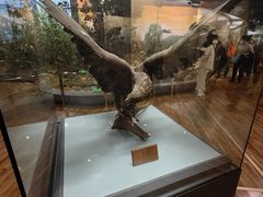 -陕西自然博物馆