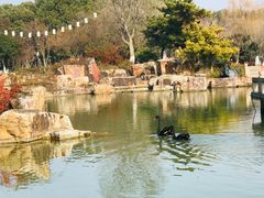 -尚湖风景区