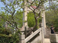 -头陀岭景区