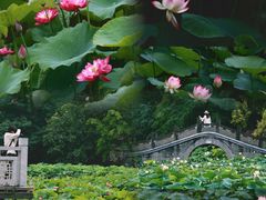 -成都市文化公园