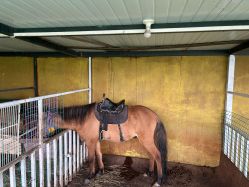 -小蜜蜂农场(凯德七宝购物广场店)