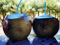 -东寨港红树林旅游区