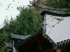 -乌山风景区