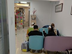 -北京观赏动物医院·24小时大型综合·猫专科·异宠专科