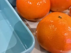 -水木谷养生水汇