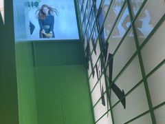 -京参 • 擂椒饭(这有山店)