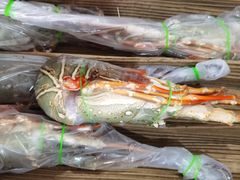 -杭州冷冻食品交易市场