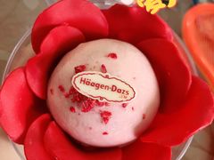 -哈根达斯(武汉天地店)