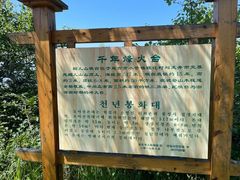 -帽儿山国家森林公园