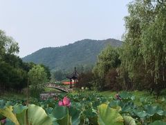 -石塘人家
