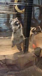 -酷嗒动物文化乐园(cutezoo西溪乐天城店)