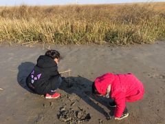 -南汇嘴观海公园