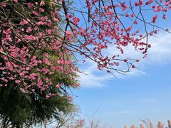 -白塘生态植物园