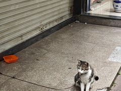 -添宝粿条店