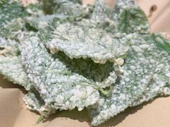 -周姑娘不等味·牛羊肉火锅·螃蟹罗氏虾·烤鱼烤串(高邮店)