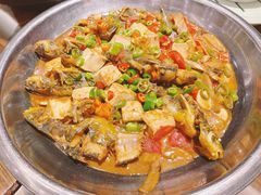 土椒番茄豆腐焖黄鳝骨-桂客膳房·珍品堂