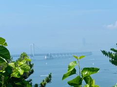 -星海湾跨海大桥