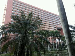-中山大学学者灵芝(园南路店)