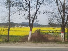 -明月山天沐温泉度假村