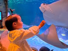 -沈阳海洋探索中心