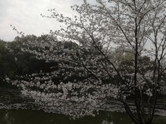 -杭州植物园