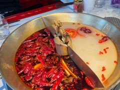经典鸳鸯-小龙翻大江文化火锅(宽窄店)