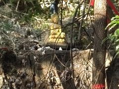 -宝通禅寺