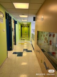 -杭州贝瑞斯美华妇儿医院·早孕·产检·儿科