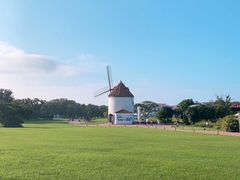 -济州森林小火车生态公园