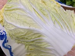 大白菜-鑫龙火锅城(环山路店)