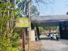 -上海海湾国家森林公园