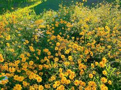 -浙江农林大学(东湖校区)