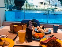 -帝企鹅自助餐厅•儿童岛•真企鹅(长隆企鹅酒店)