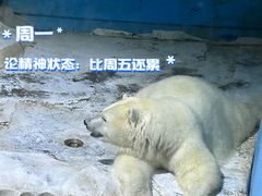 -大连森林动物园