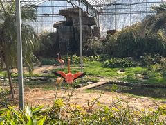 -无锡动物园·太湖欢乐园