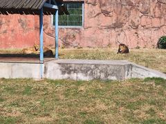 -无锡动物园·太湖欢乐园