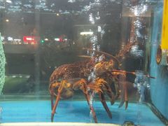 -蓝鲸(国浩路店)