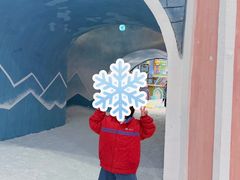 -世界之窗阿尔卑斯冰雪世界