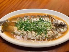 清蒸乌苏里江大白鱼-老江南春·中国龙菜(衡山路店)