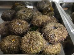 -满田家大排档(朝阳店)