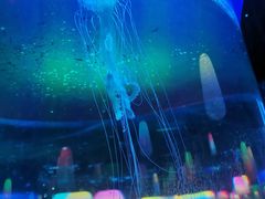 -顺德南宏海立方海洋公园